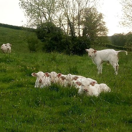 Gite A La Ferme Le Rousset エクステリア 写真