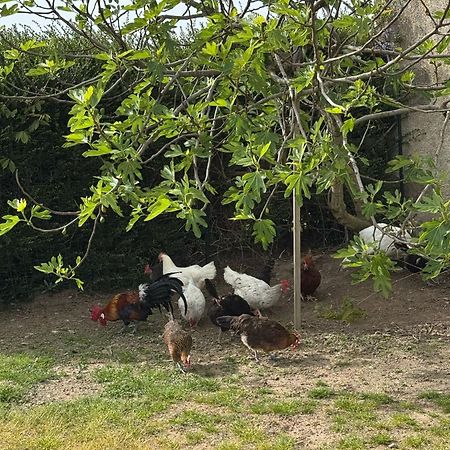 Gite A La Ferme Le Rousset エクステリア 写真